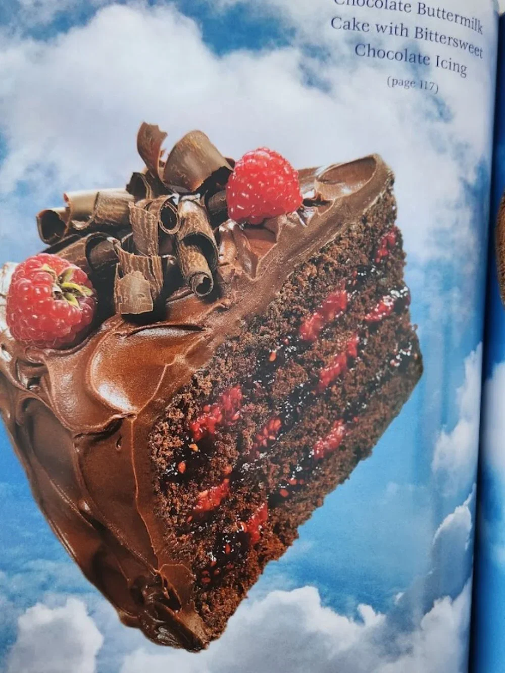 Pie in the Sky Successful Baking at High Altitudes Recipe Cookbook Hardcover Boo